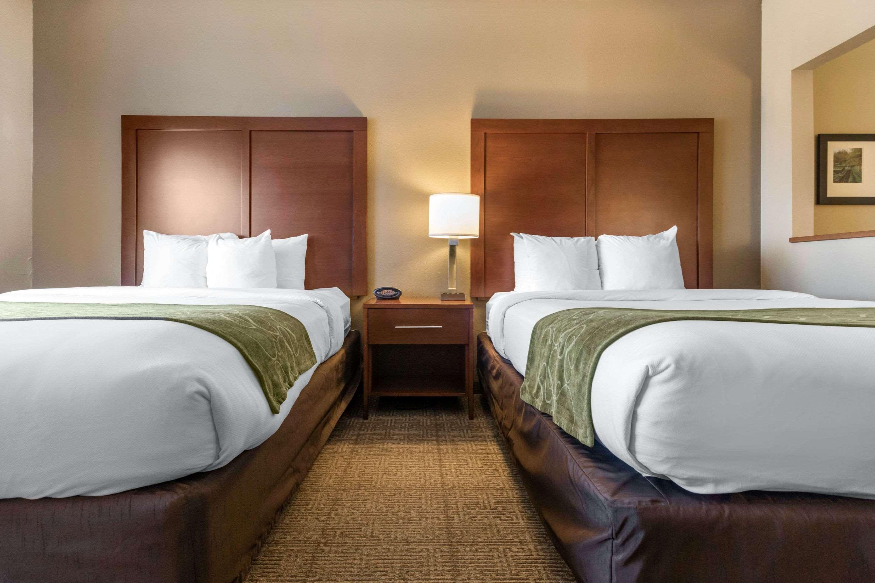 Comfort Suites Keeneland Лексингтон Экстерьер фото