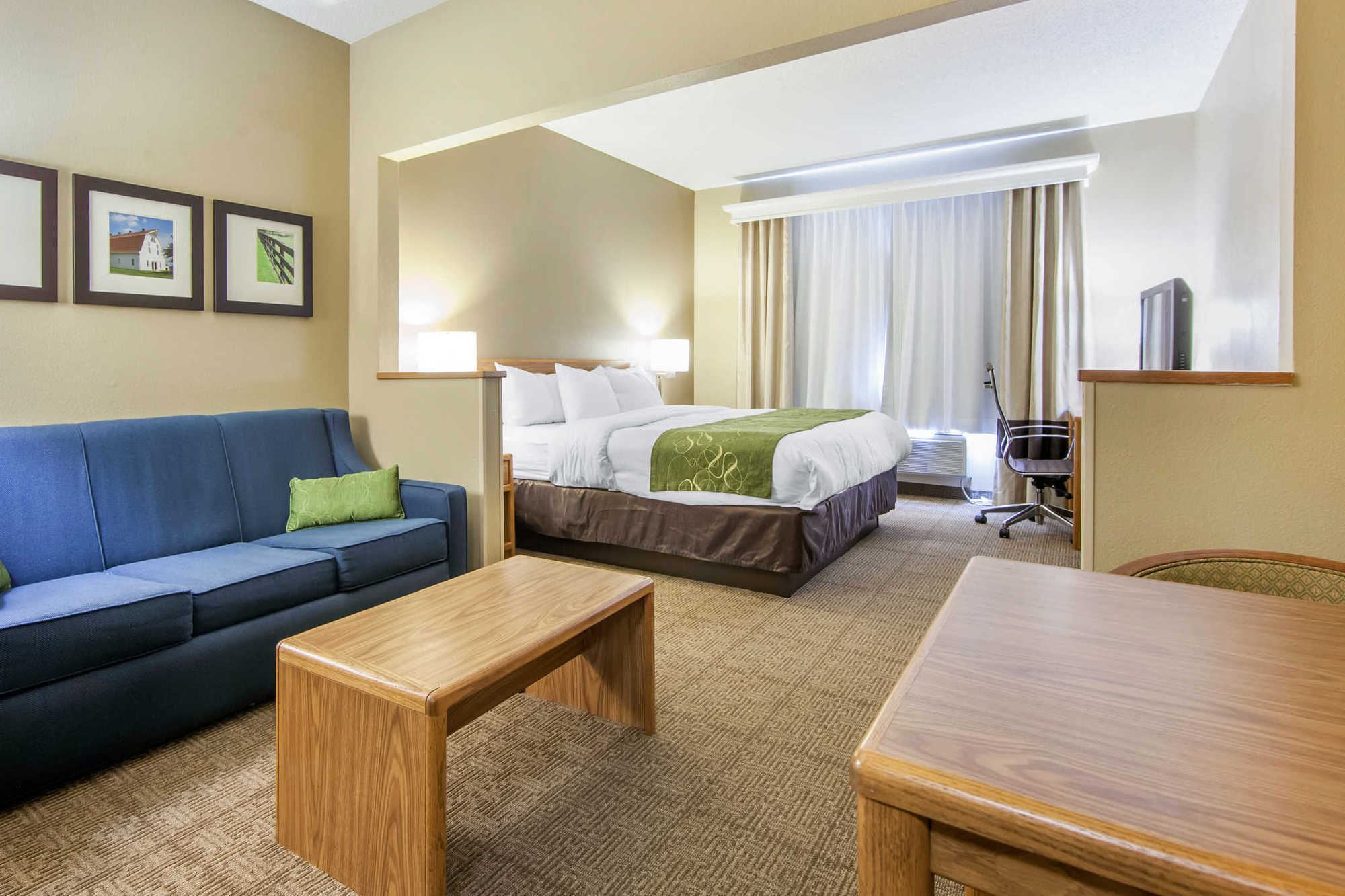 Comfort Suites Keeneland Лексингтон Номер фото